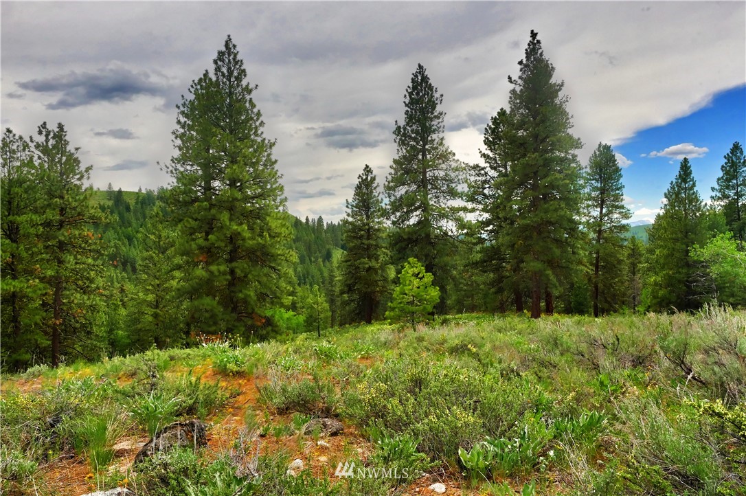174 Cub Creek Road Winthrop, WA 98862 - Photo 10 of 40 Gallery Image 10