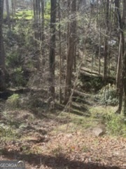 11005 Regents Court Hampton, GA 30228 - Photo 2 of 5 a view of a small yard