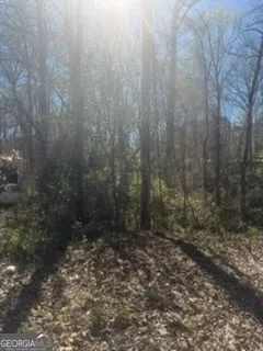 $50,000 | 11005 Regents Court, Hampton, GA 30228