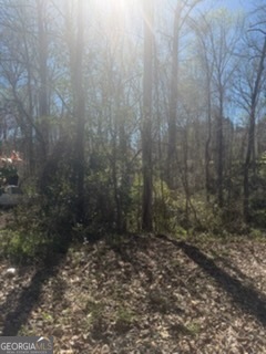 11005 Regents Court Hampton, GA 30228 - Photo 3 of 5 a view of a forest