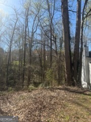 11005 Regents Court Hampton, GA 30228 - Photo 4 of 5 a view of a dry yard
