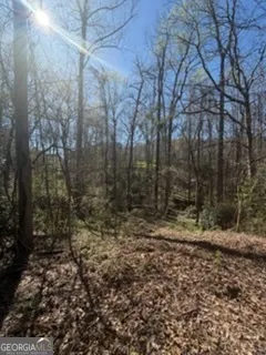 $50,000 | 11005 Regents Court, Hampton, GA 30228