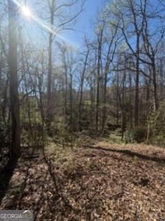 11005 Regents Court Hampton, GA 30228 - Photo 5 of 5 a view of a yard with trees in the background