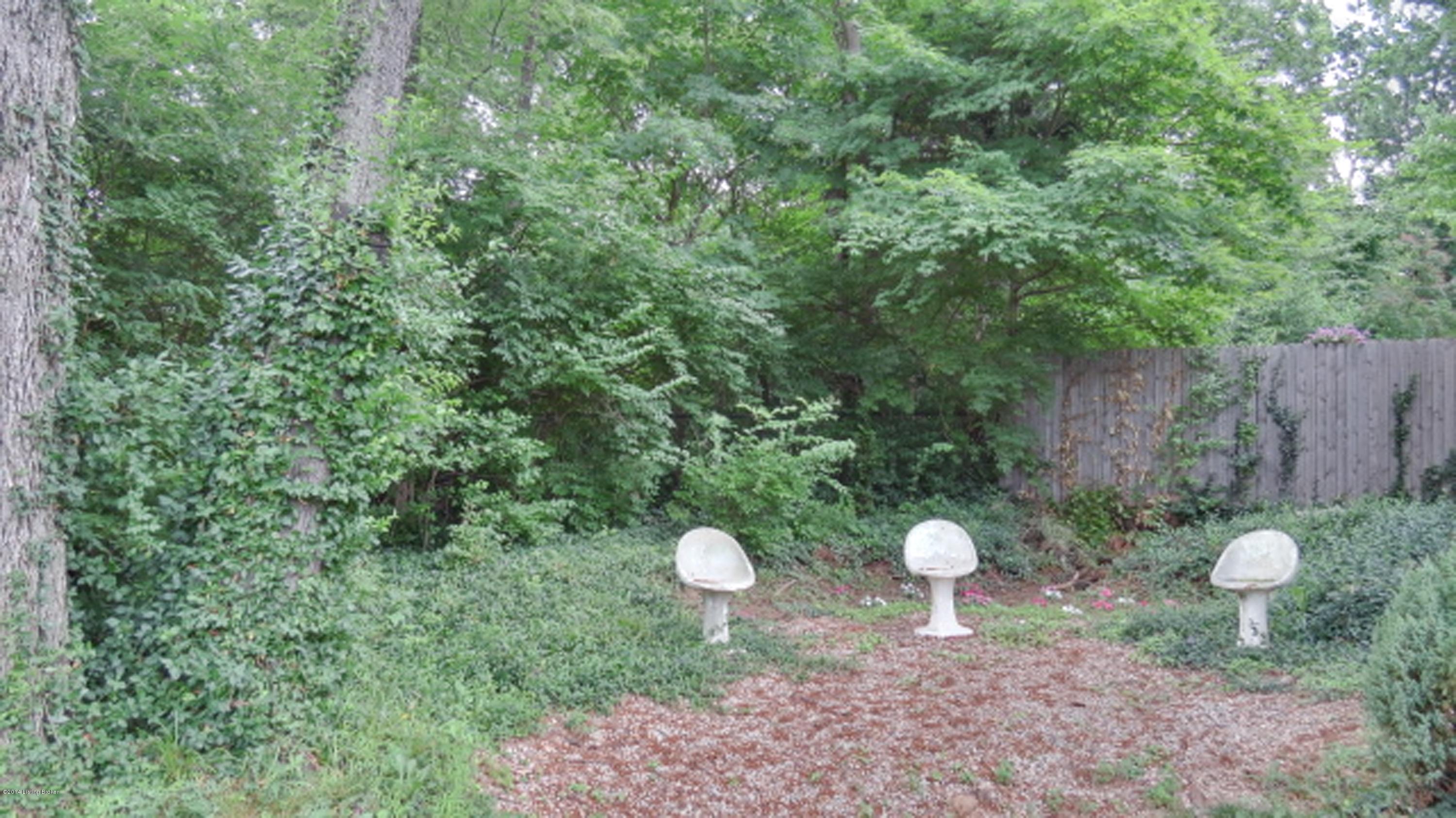 2407 Dundee Road Louisville, KY 40205 - Photo 67 of 67 IMG_1151_enfused