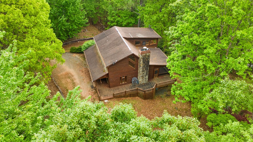 15 Lobo Trail Morganton, GA 30560 - Photo 3 of 60