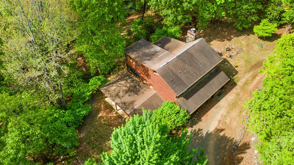 15 Lobo Trail Morganton, GA 30560 - Photo 4 of 60