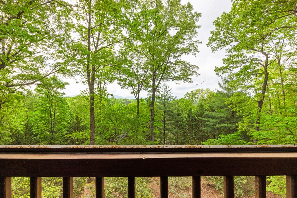 15 Lobo Trail Morganton, GA 30560 - Photo 48 of 60