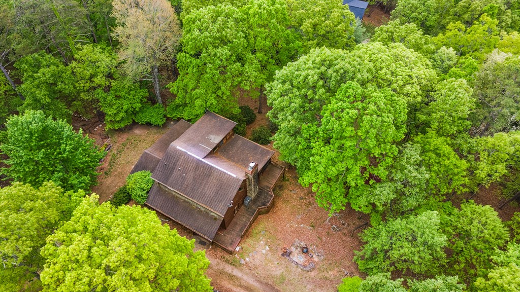 15 Lobo Trail Morganton, GA 30560 - Photo 57 of 60