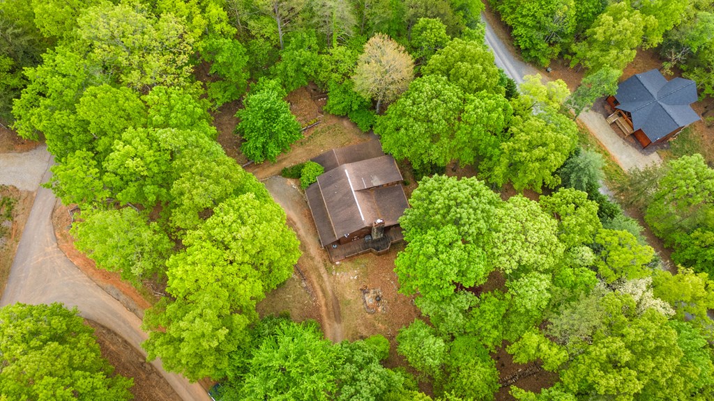 15 Lobo Trail Morganton, GA 30560 - Photo 58 of 60