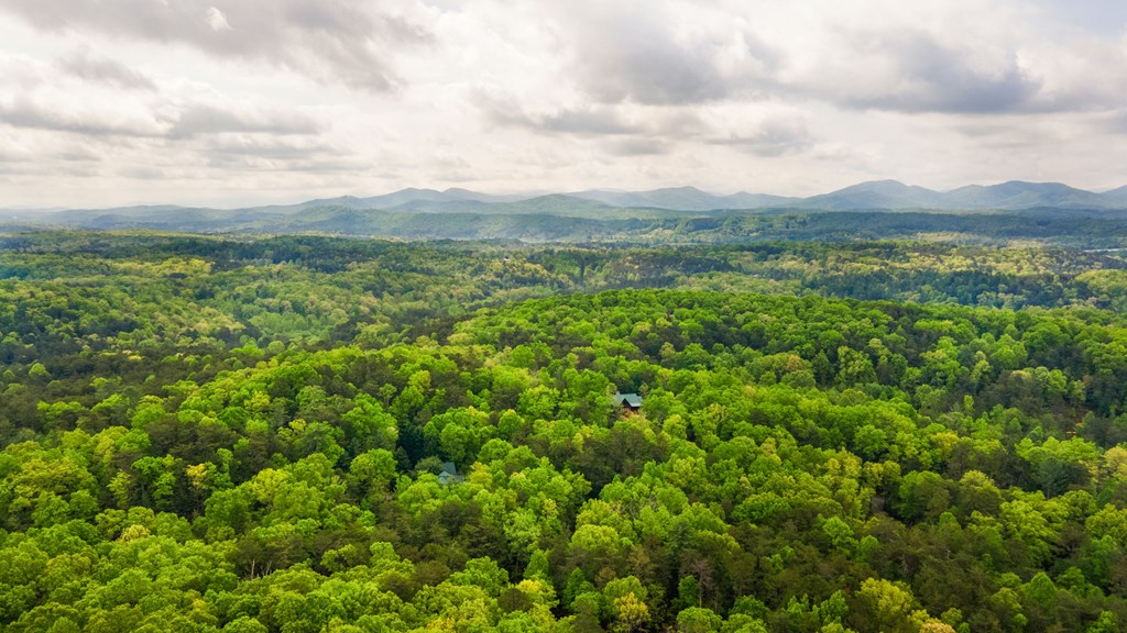 15 Lobo Trail Morganton, GA 30560 - Photo 60 of 60