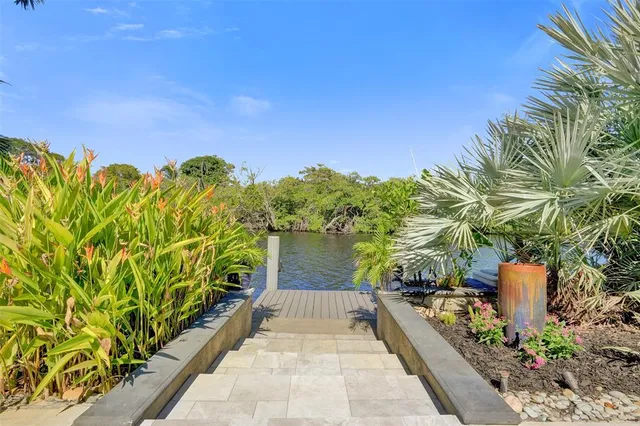 a view of a garden with plants