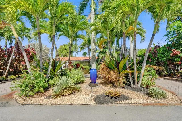 a ground with lots of palm trees