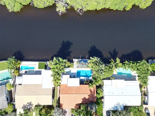a view of a flower in a yard