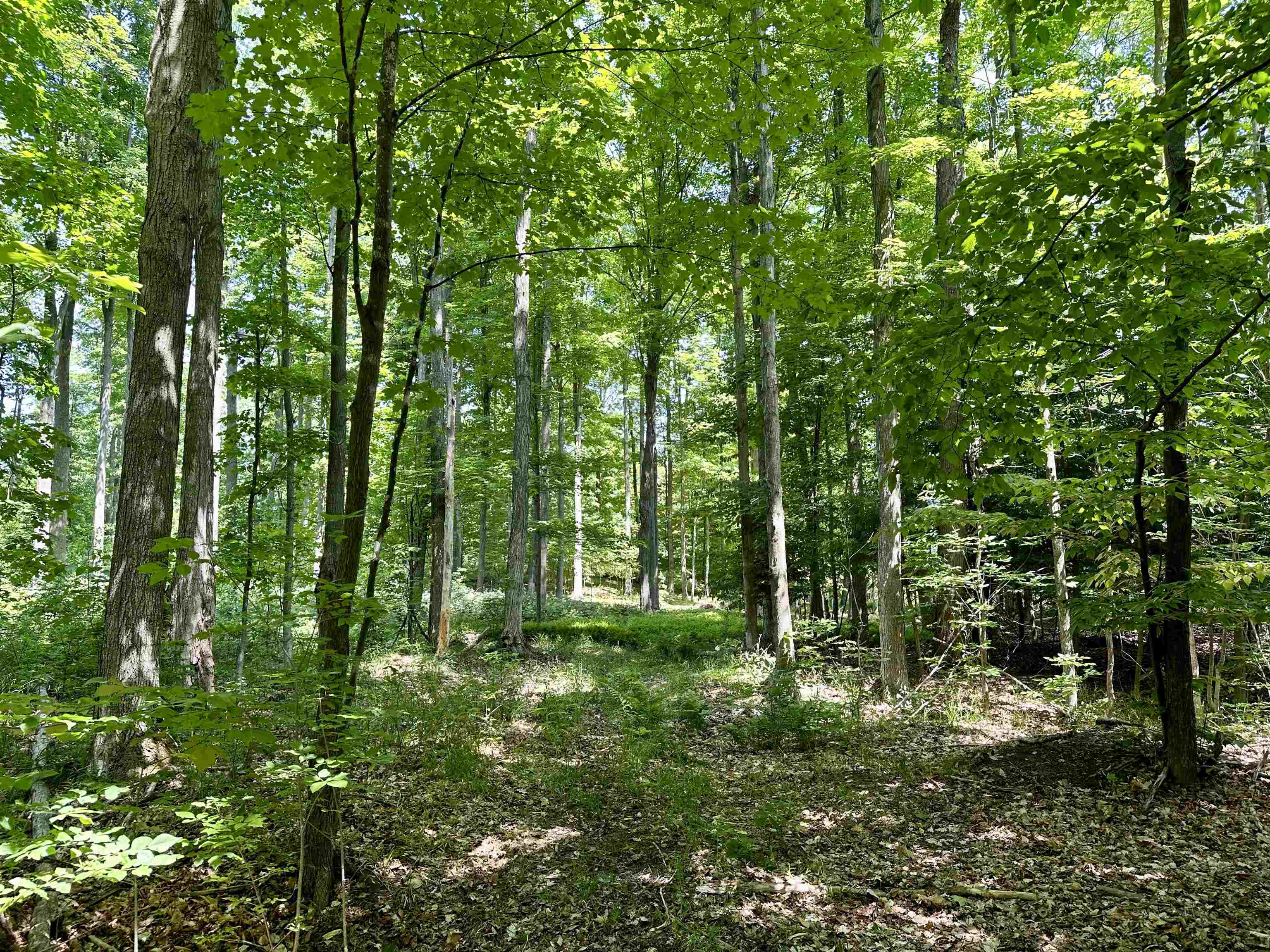 4892 Hamlin Road Grawn, MI 49637 - Photo 59 of 63