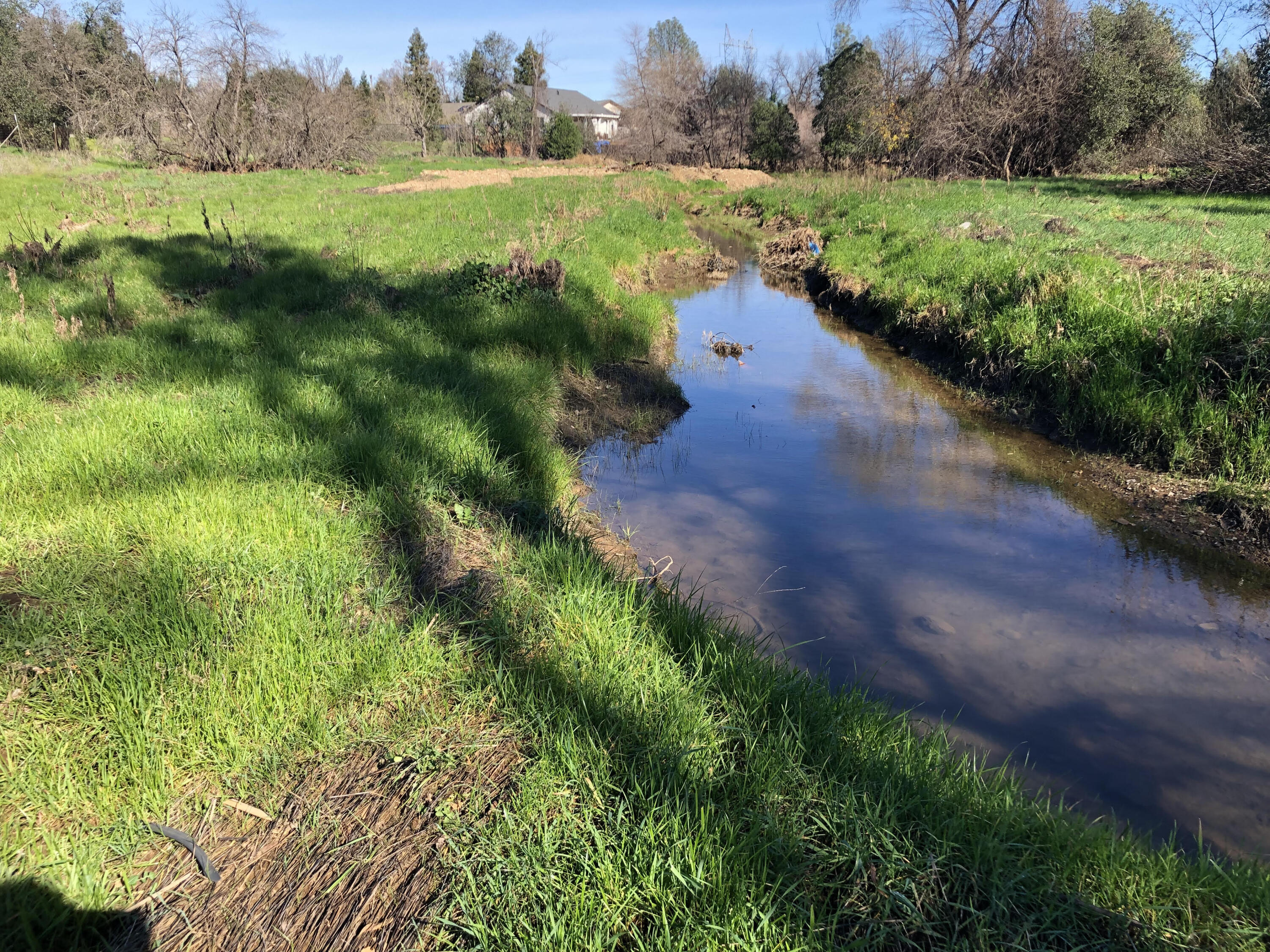 Creek at back of property