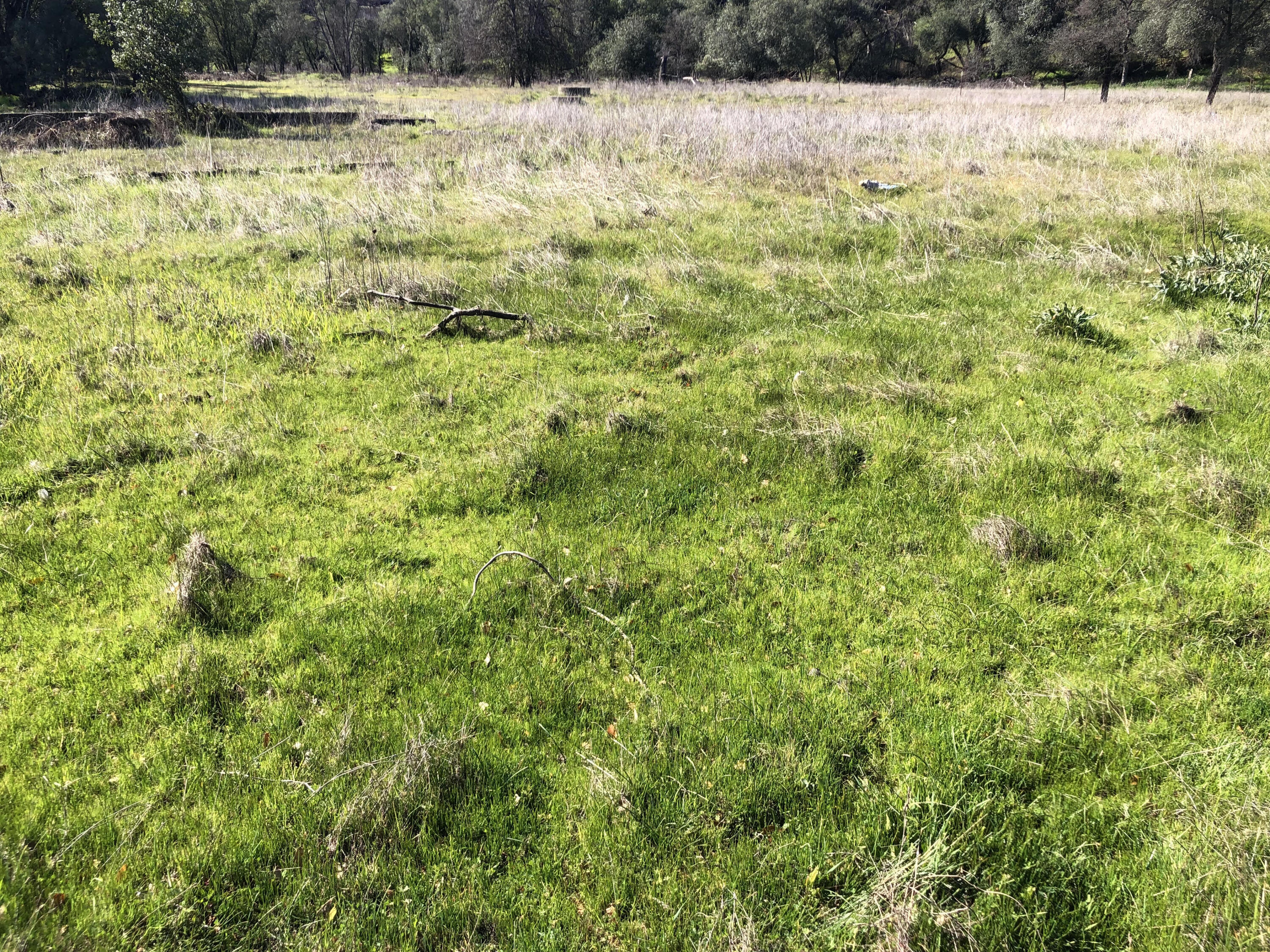 1513 Harpole Road Redding, CA 96002 - Photo 11 of 13 Open and level