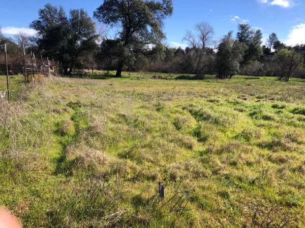 a view of yard with trees