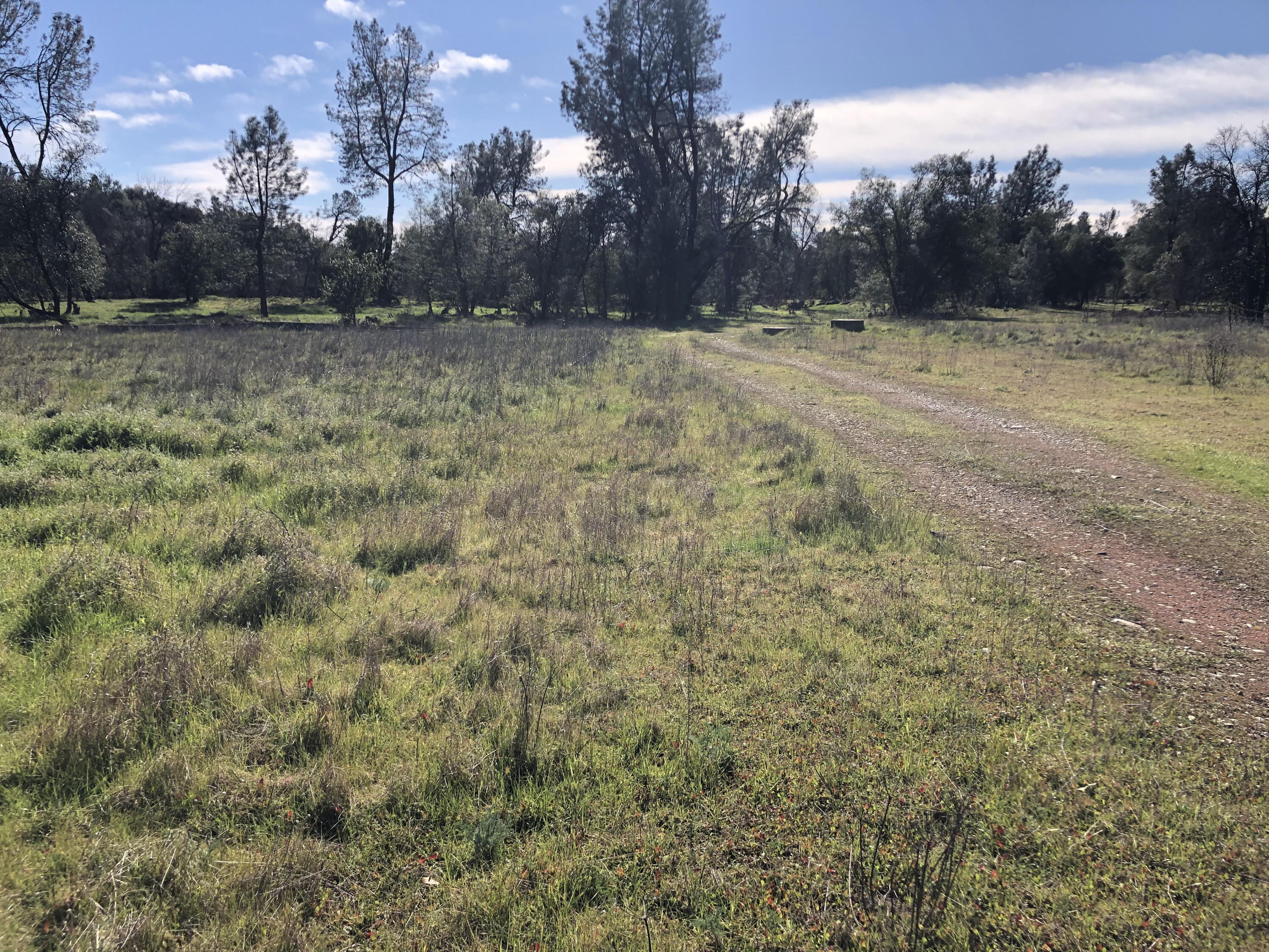 1513 Harpole Road Redding, CA 96002 - Photo 6 of 13 property on left of access rd