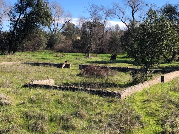 a view of swimming pool with a yard