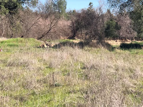 a backyard of a house with a yard and lake