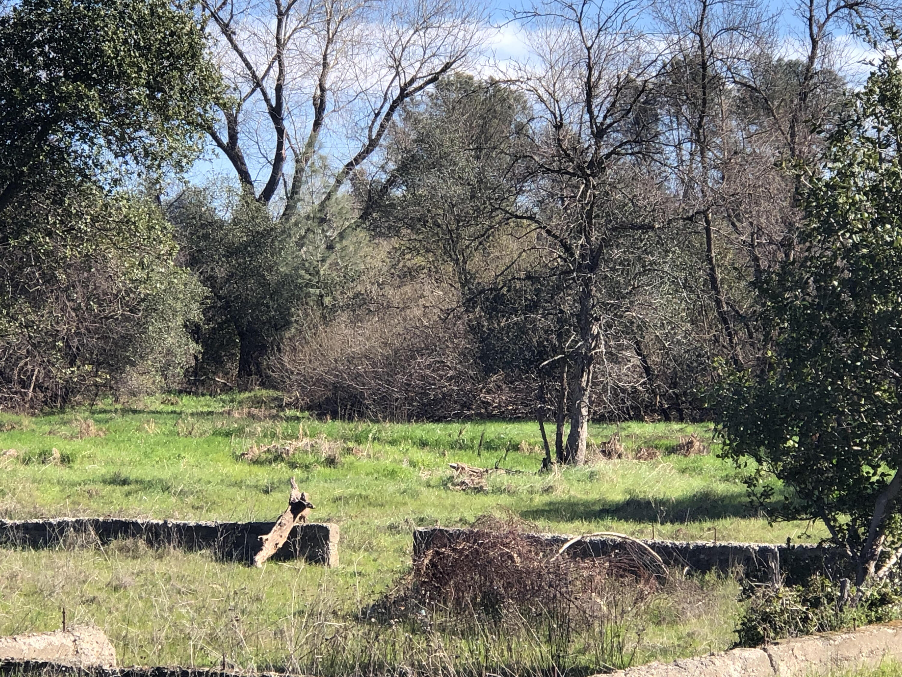 1513 Harpole Road Redding, CA 96002 - Photo 9 of 13 Harpole