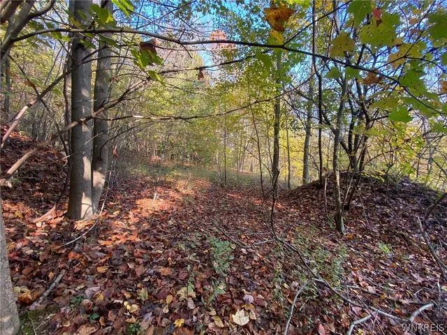 $89,000 | V/l Hillcroft Drive, Boston, NY 14025