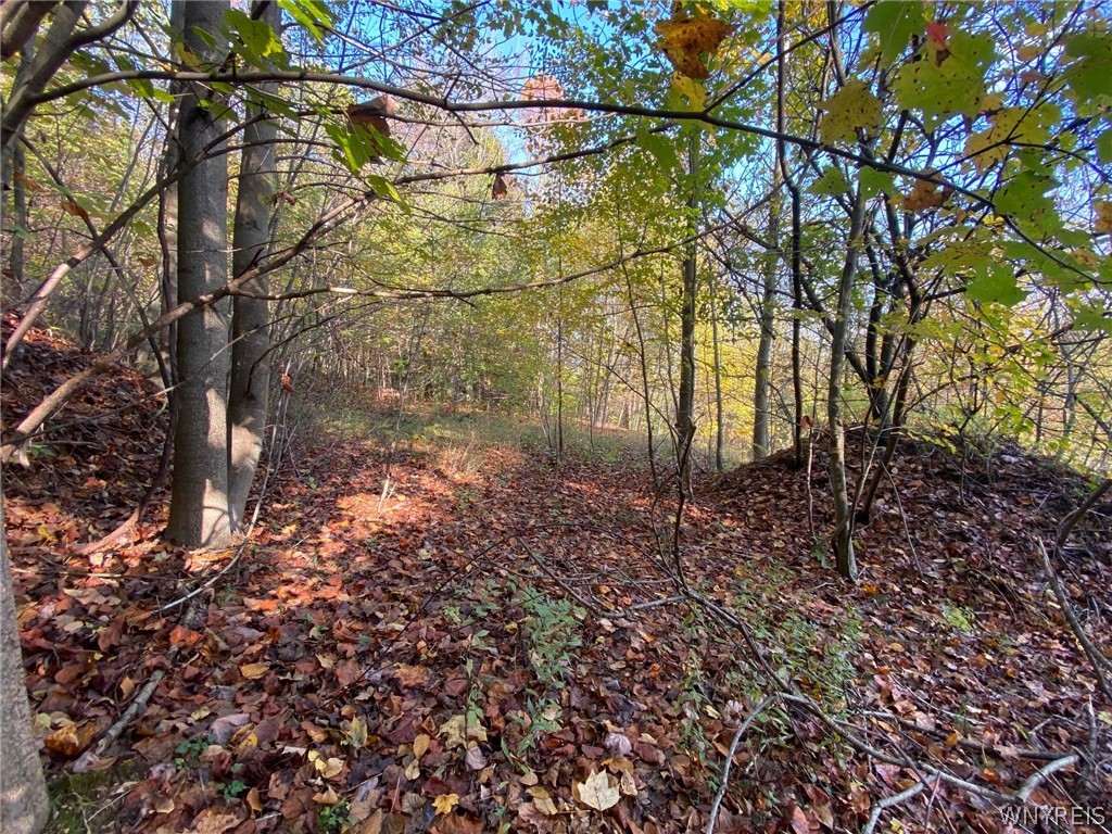 V/l Hillcroft Drive Boston, NY 14025 - Photo 11 of 14