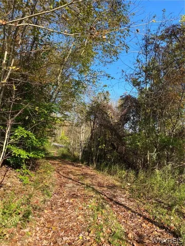 $89,000 | V/l Hillcroft Drive, Boston, NY 14025