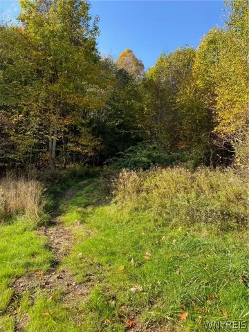 $89,000 | V/l Hillcroft Drive, Boston, NY 14025