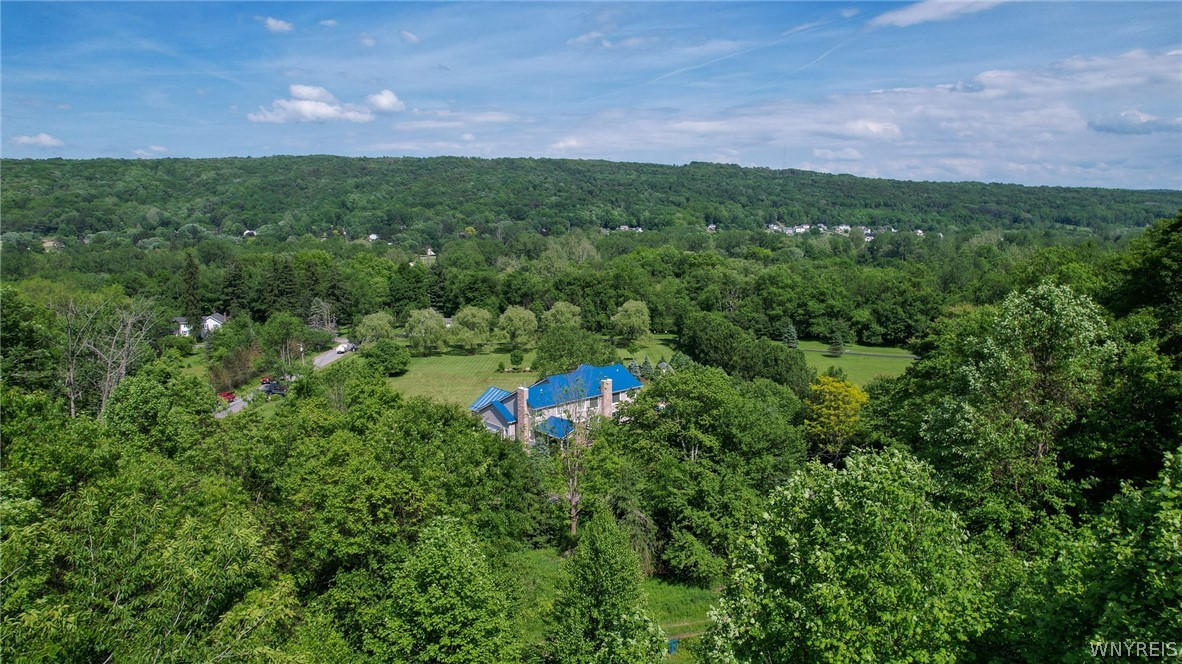 V/l Hillcroft Drive Boston, NY 14025 - Photo 5 of 14