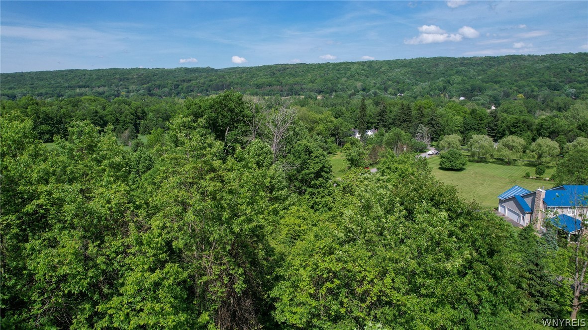 V/l Hillcroft Drive Boston, NY 14025 - Photo 8 of 14