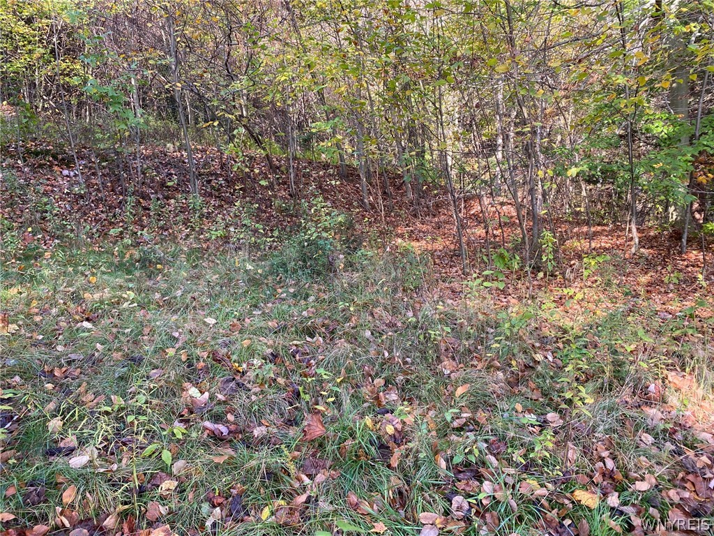 V/l Hillcroft Drive Boston, NY 14025 - Photo 9 of 14