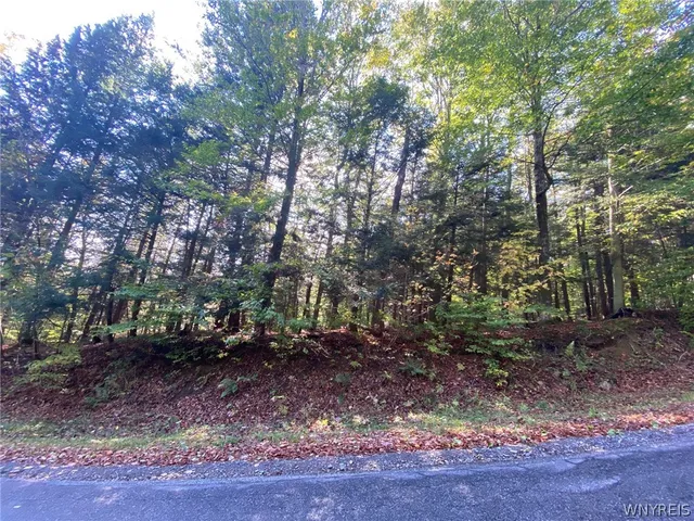 $89,000 | V/l Hillcroft Drive, Boston, NY 14025