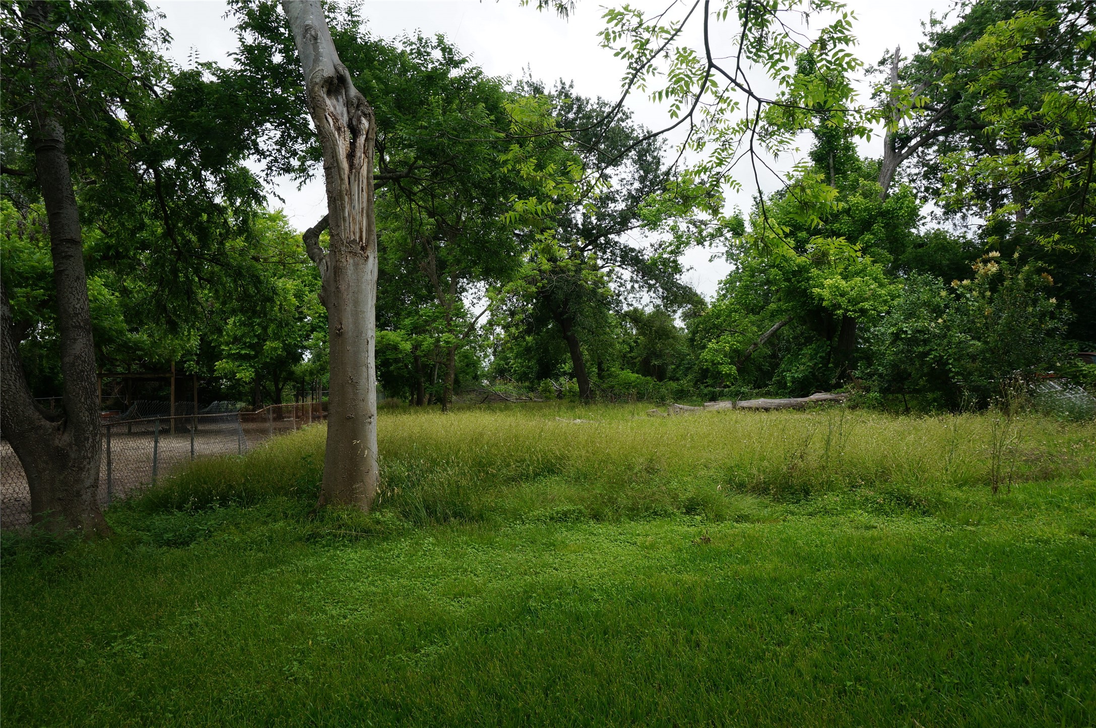 4308 Banner Drive Houston, TX 77013 - Photo 13 of 45