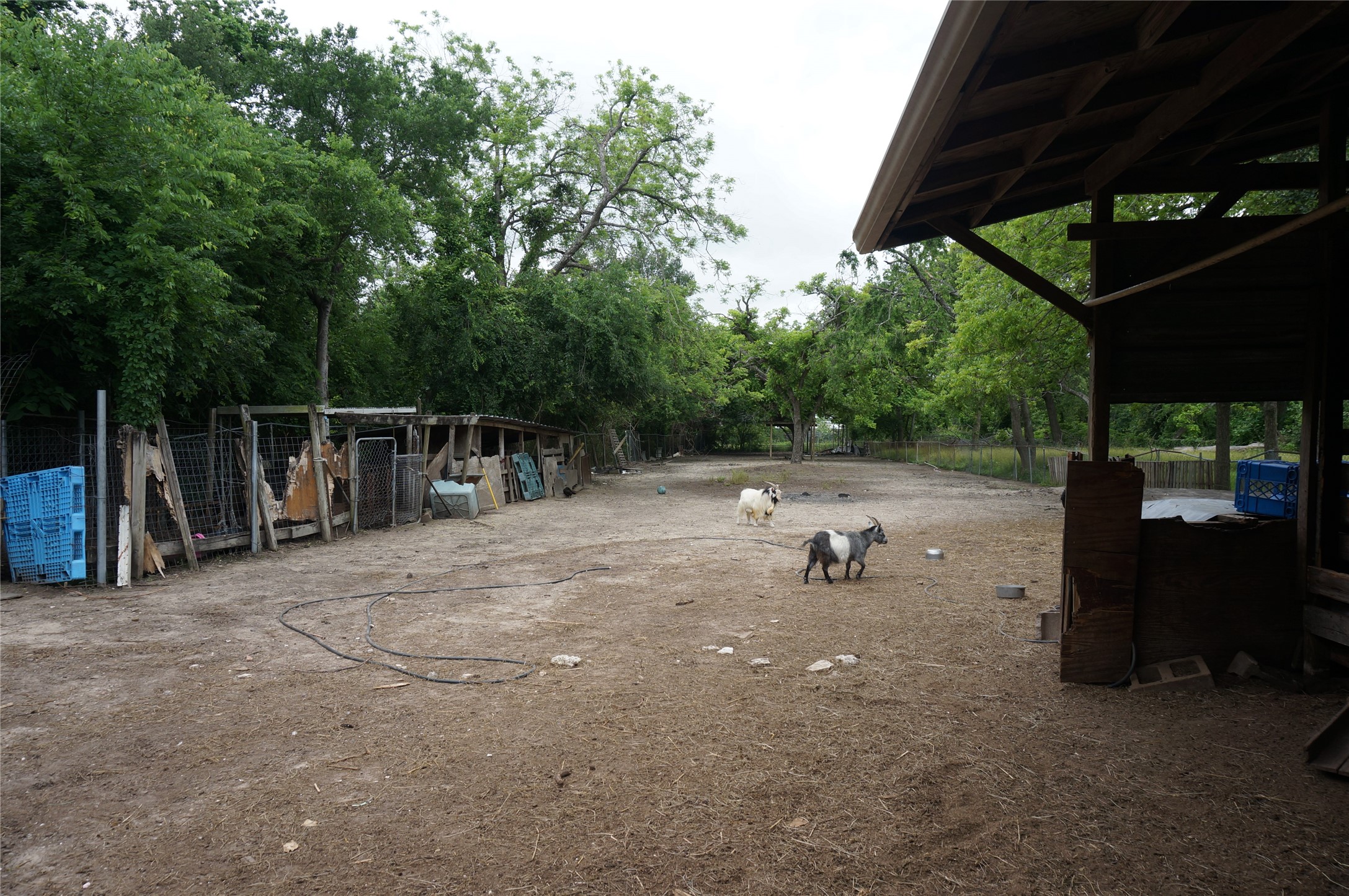 4308 Banner Drive Houston, TX 77013 - Photo 15 of 45