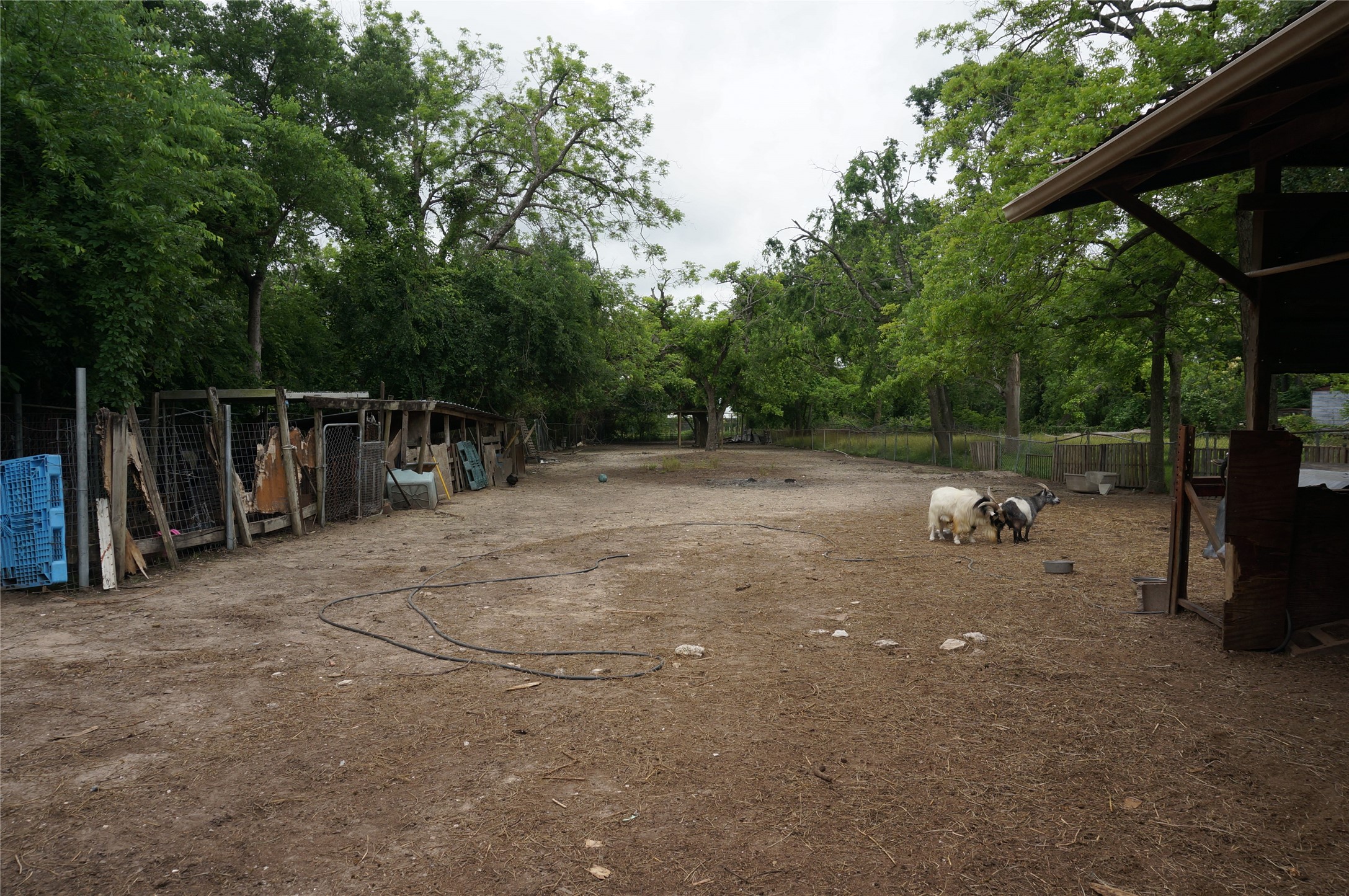 4308 Banner Drive Houston, TX 77013 - Photo 16 of 45