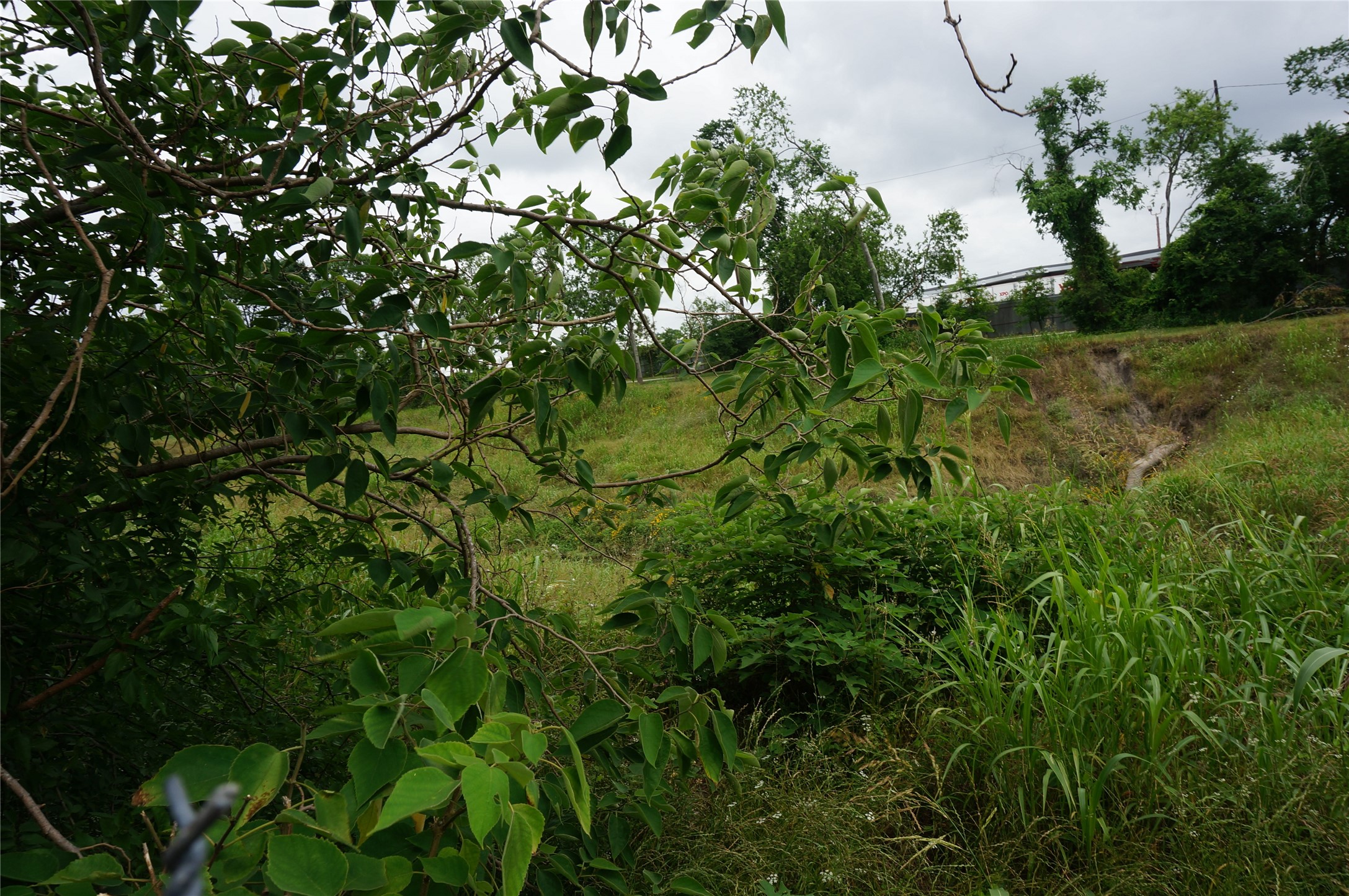 4308 Banner Drive Houston, TX 77013 - Photo 22 of 45