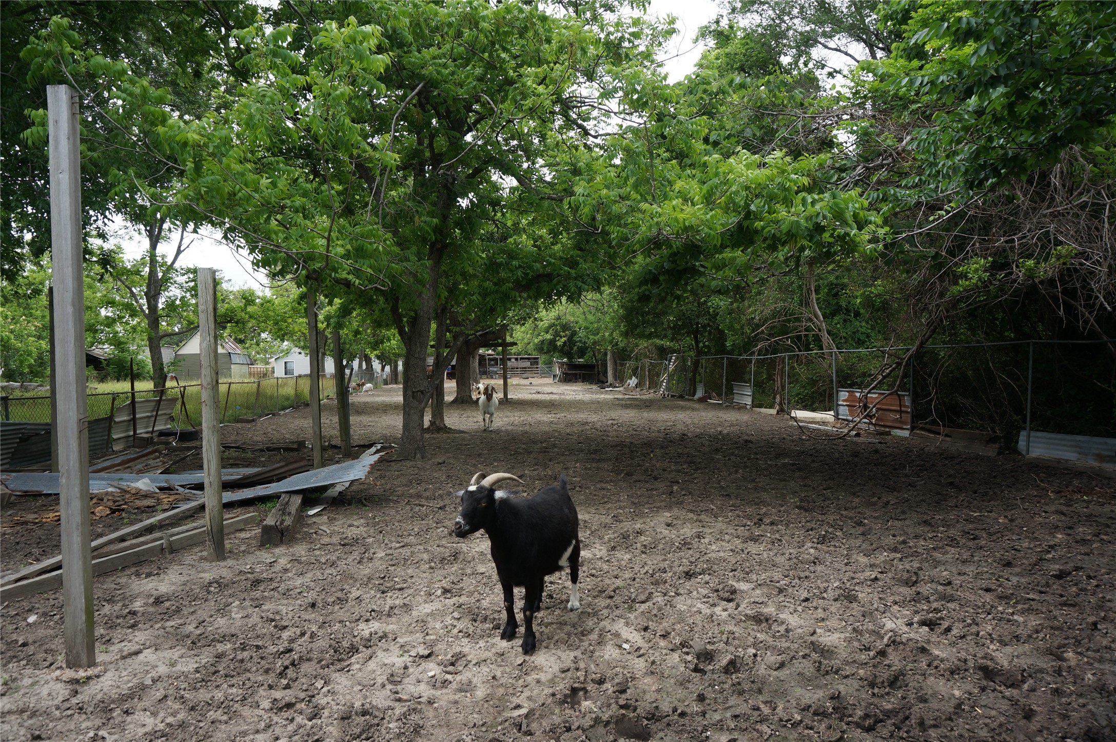 4308 Banner Drive Houston, TX 77013 - Photo 23 of 45