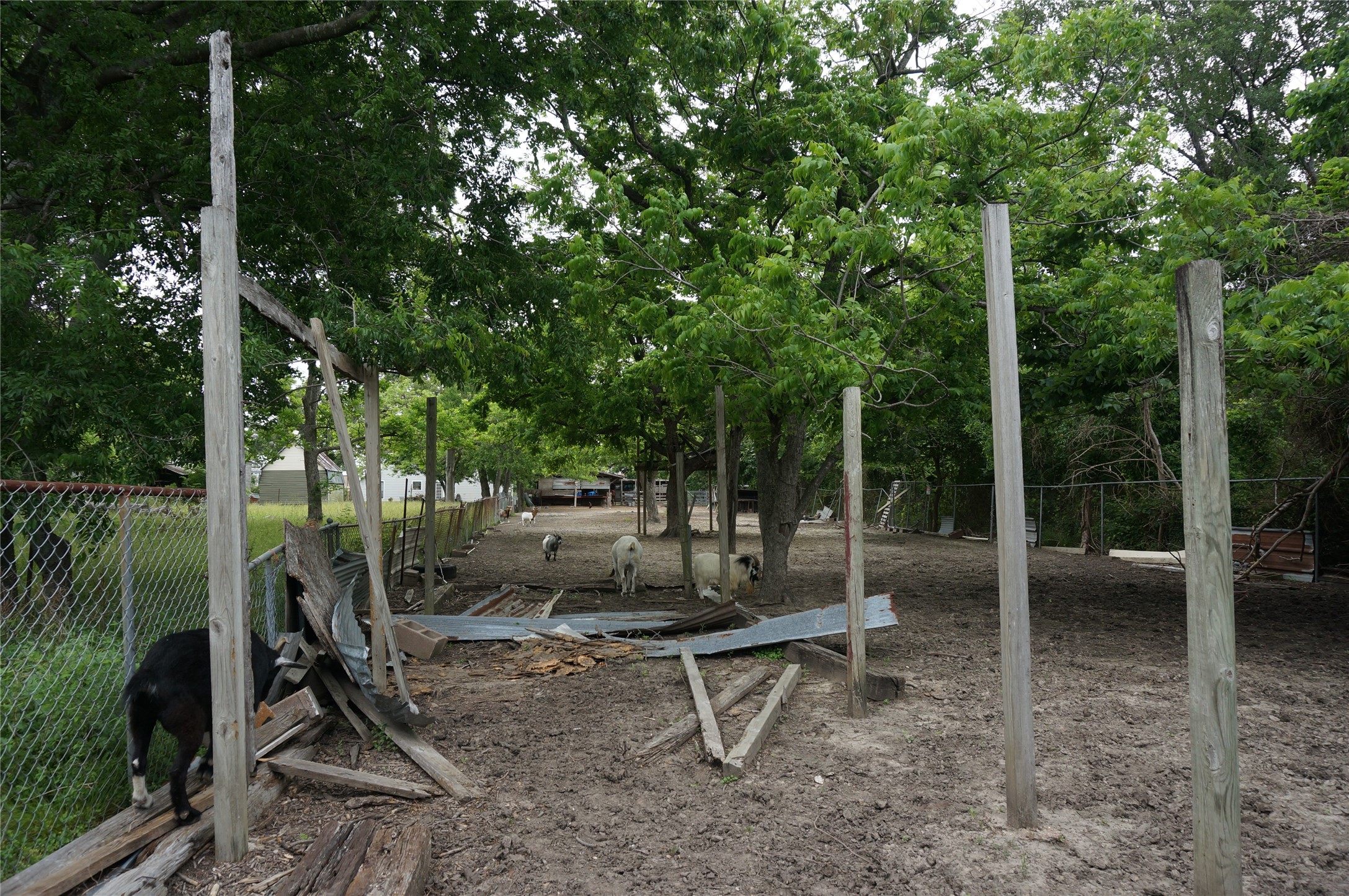 4308 Banner Drive Houston, TX 77013 - Photo 26 of 45