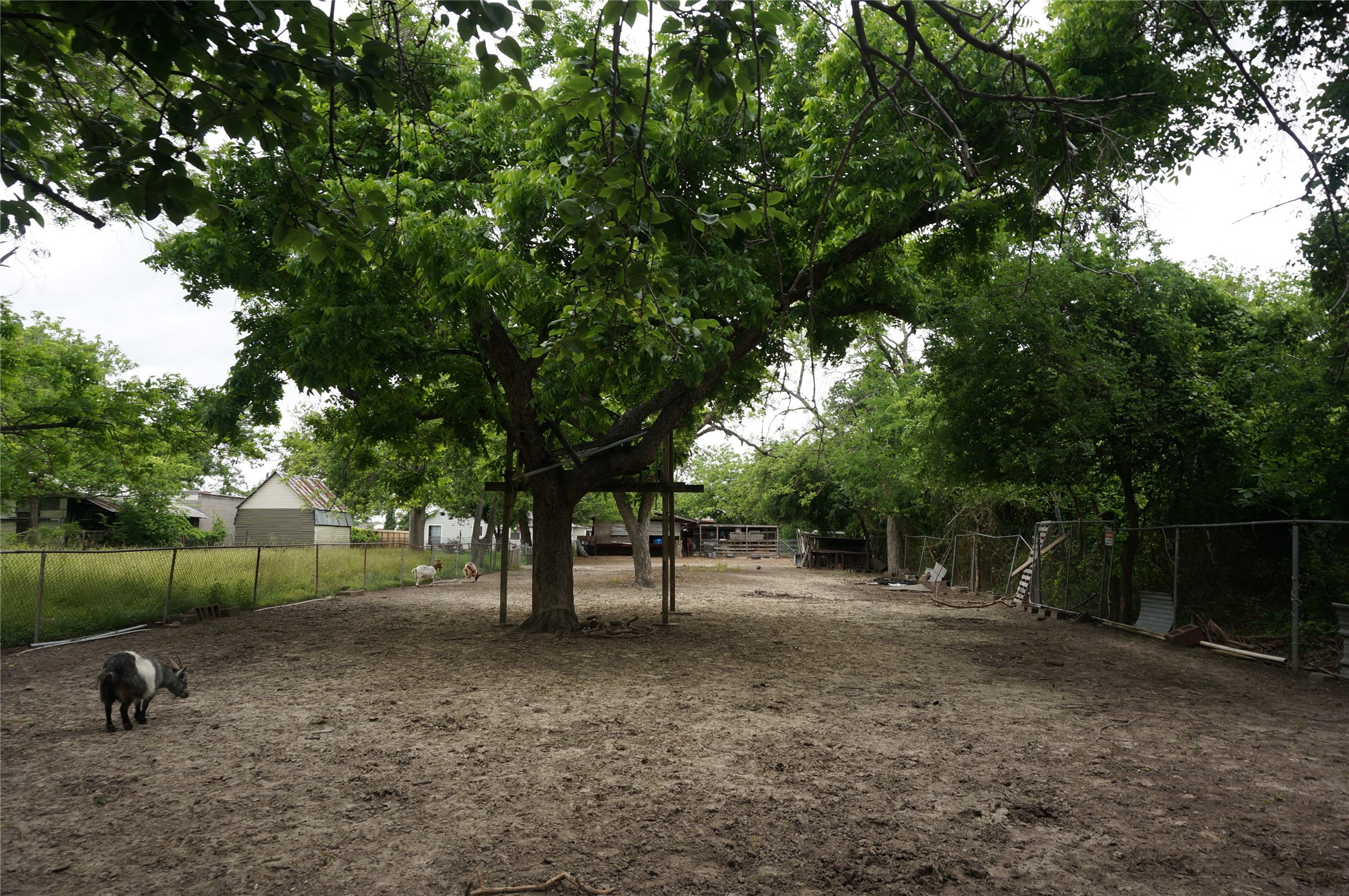 4308 Banner Drive Houston, TX 77013 - Photo 27 of 45