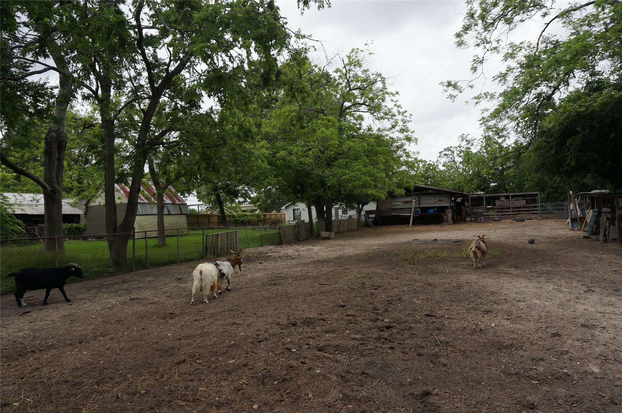 4308 Banner Drive Houston, TX 77013 - Photo 29 of 45