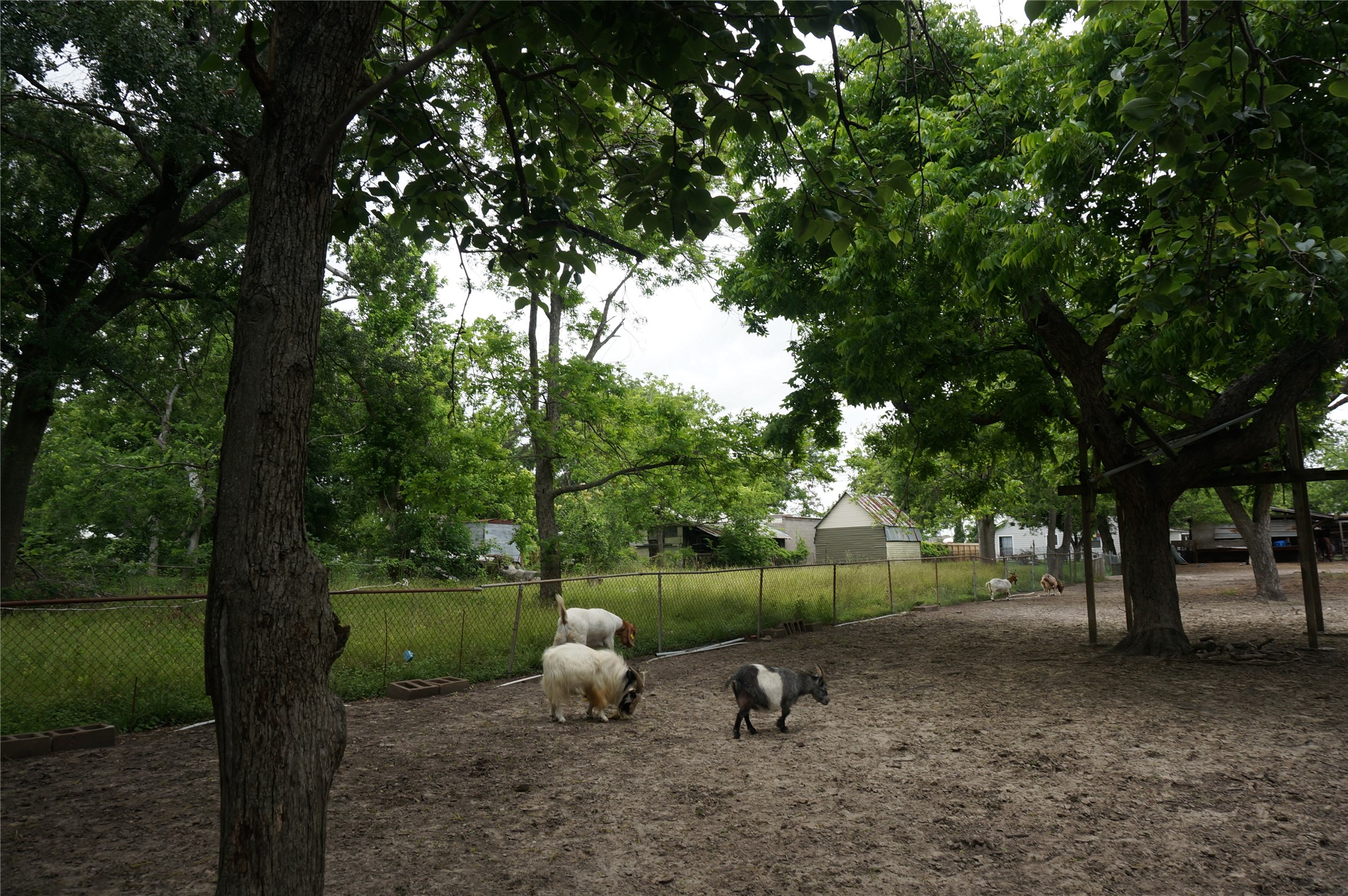 4308 Banner Drive Houston, TX 77013 - Photo 32 of 45