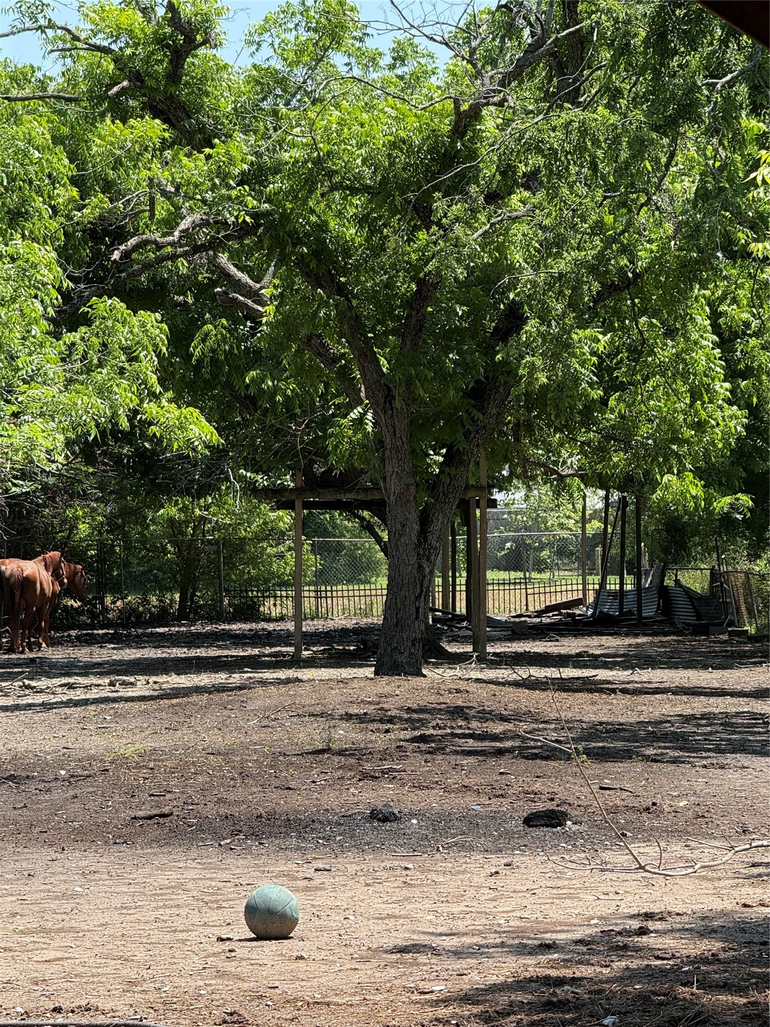4308 Banner Drive Houston, TX 77013 - Photo 42 of 45 a view of a yard and tree s
