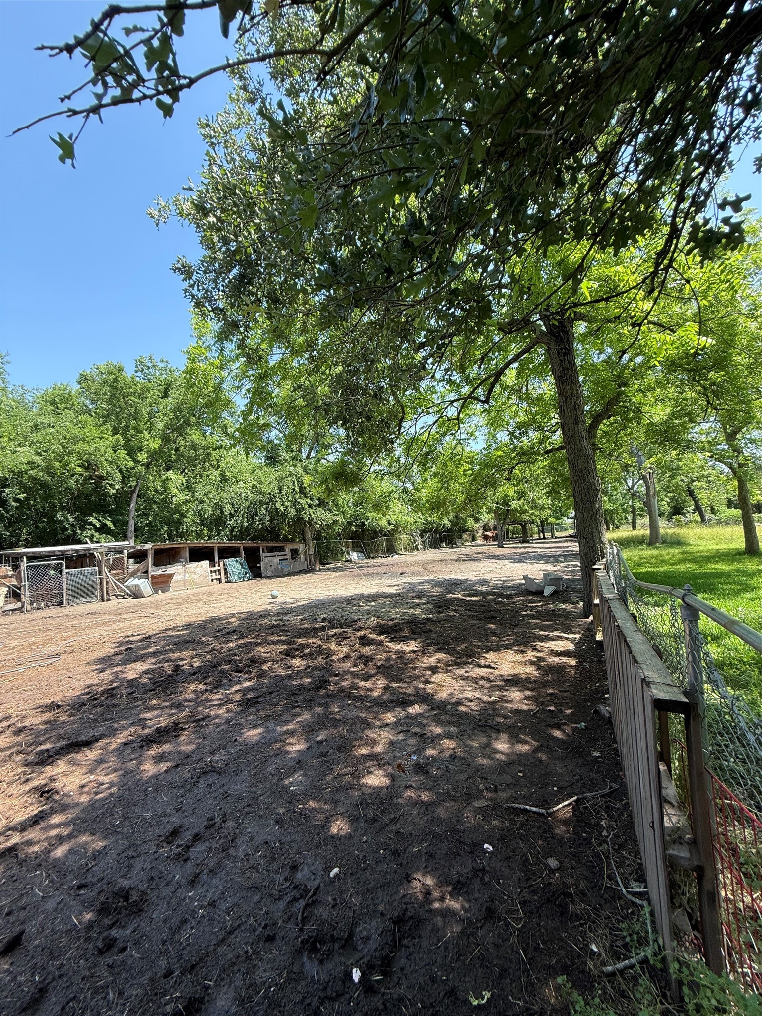 4308 Banner Drive Houston, TX 77013 - Photo 43 of 45 a view of a yard with plants and trees