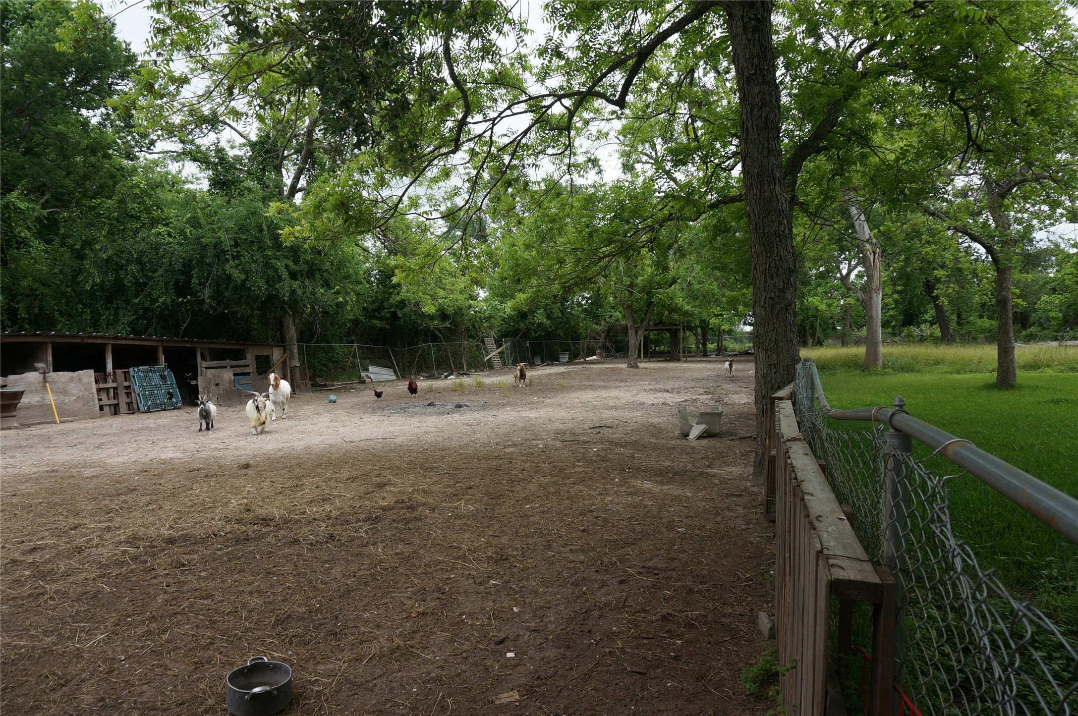 4308 Banner Drive Houston, TX 77013 - Photo 10 of 45