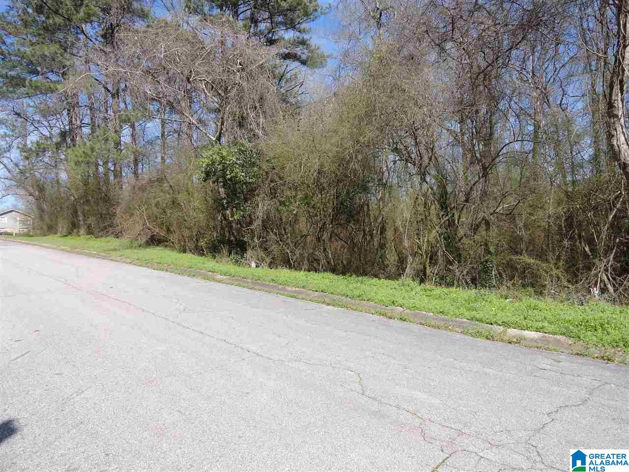 4919 Issac Lane, Unit 34 Adamsville, AL 35005 - Photo 1 of 1