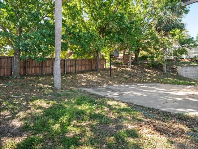 a view of a backyard with tree s