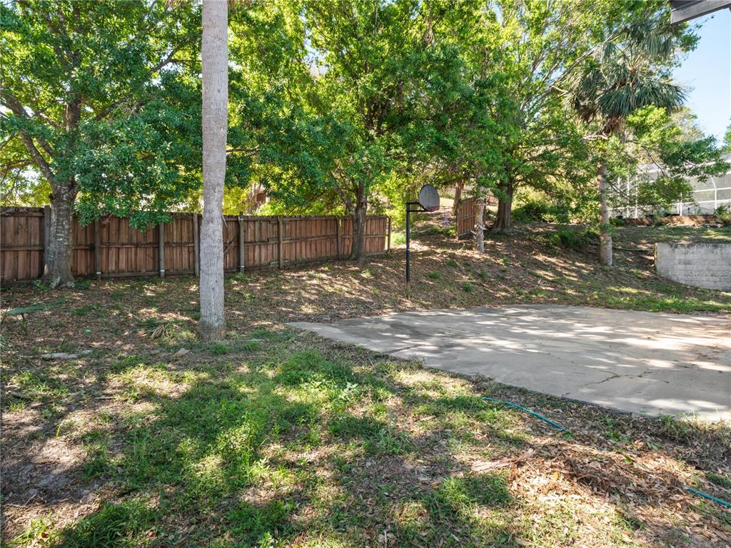 834 High Pointe Circle Minneola, FL 34715 - Photo 3 of 15 a view of a backyard with tree s