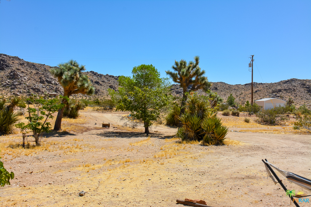 60525 Security Drive Joshua Tree, CA 92252 - Photo 31 of 39 a view of a yard with a tree