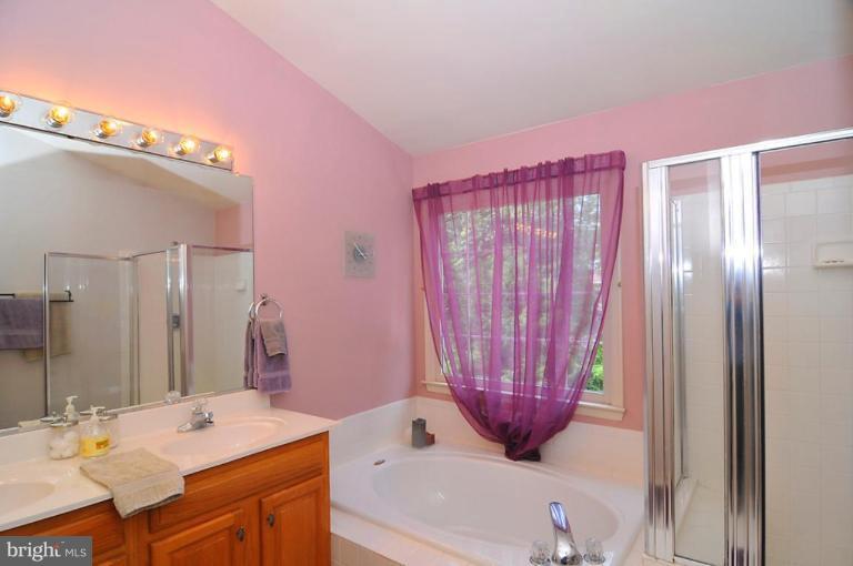 9404 Regency Crest Drive Vienna, VA 22181 - Photo 21 of 30 a bathroom with a sink a mirror and a shower